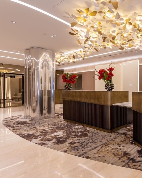 Fusion overhead ceiling light