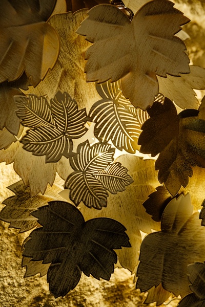 Detail vine