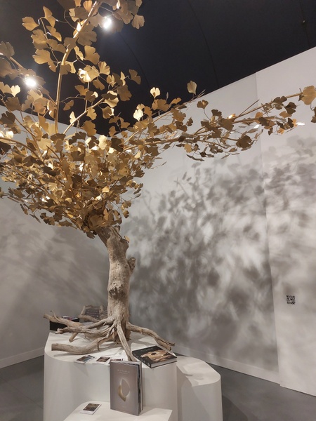 Ginkgo Tree