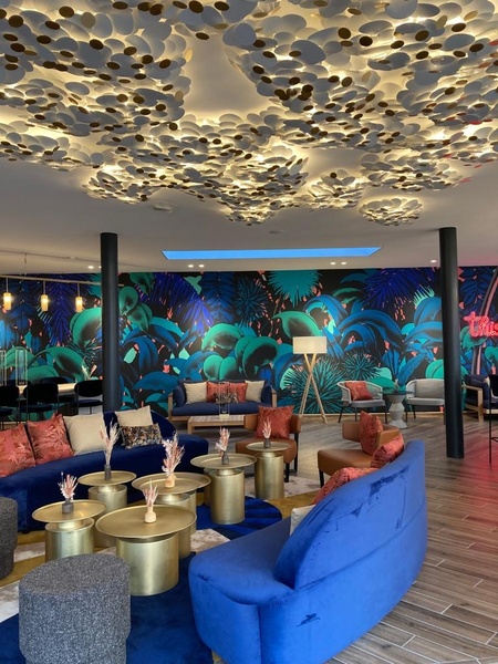 Renaissance Hotel Bordeaux  Fusion Ceiling Light 
