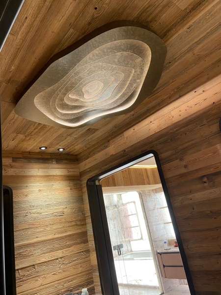 Narcisse 03 - ceiling light