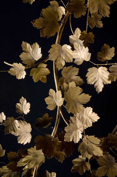  Branch